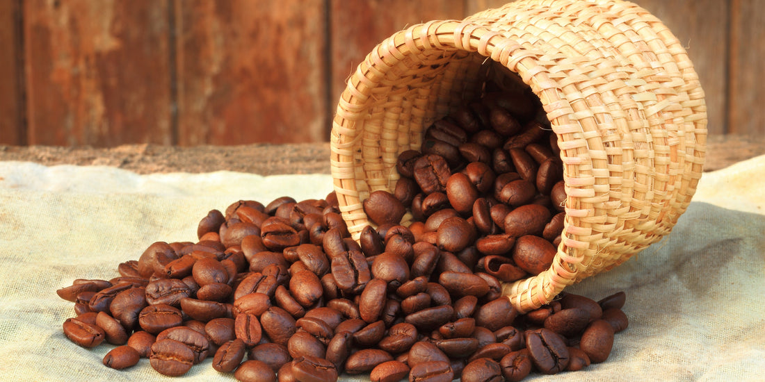Warm Coppertop coffee scene representing the people and places behind every cup
