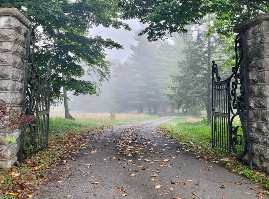 Iron gate and misty path in a Kentucky landscape